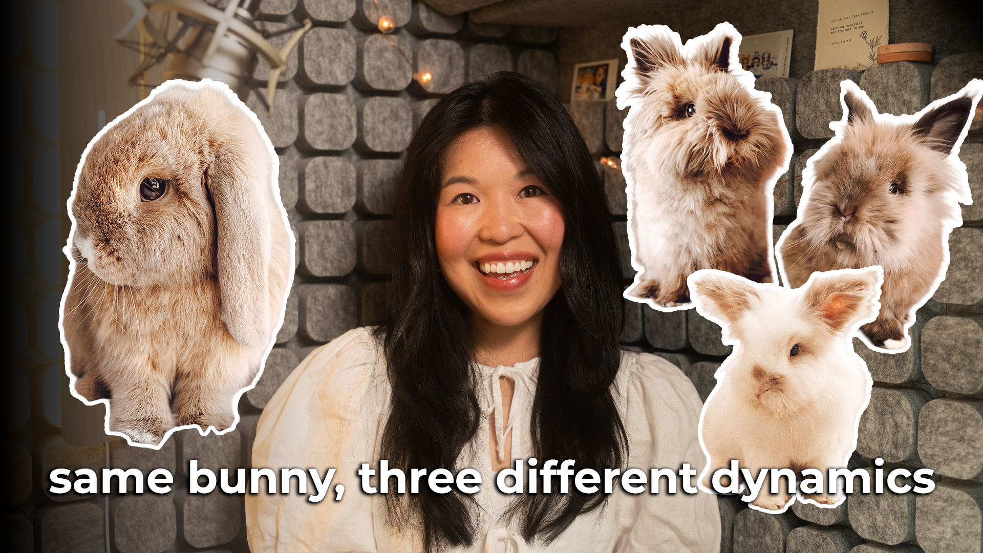 Same Bunny, Three Different Dynamics