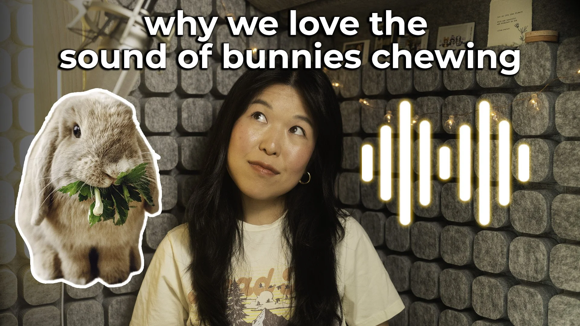 Why We Love the Sound of Bunnies Chewing