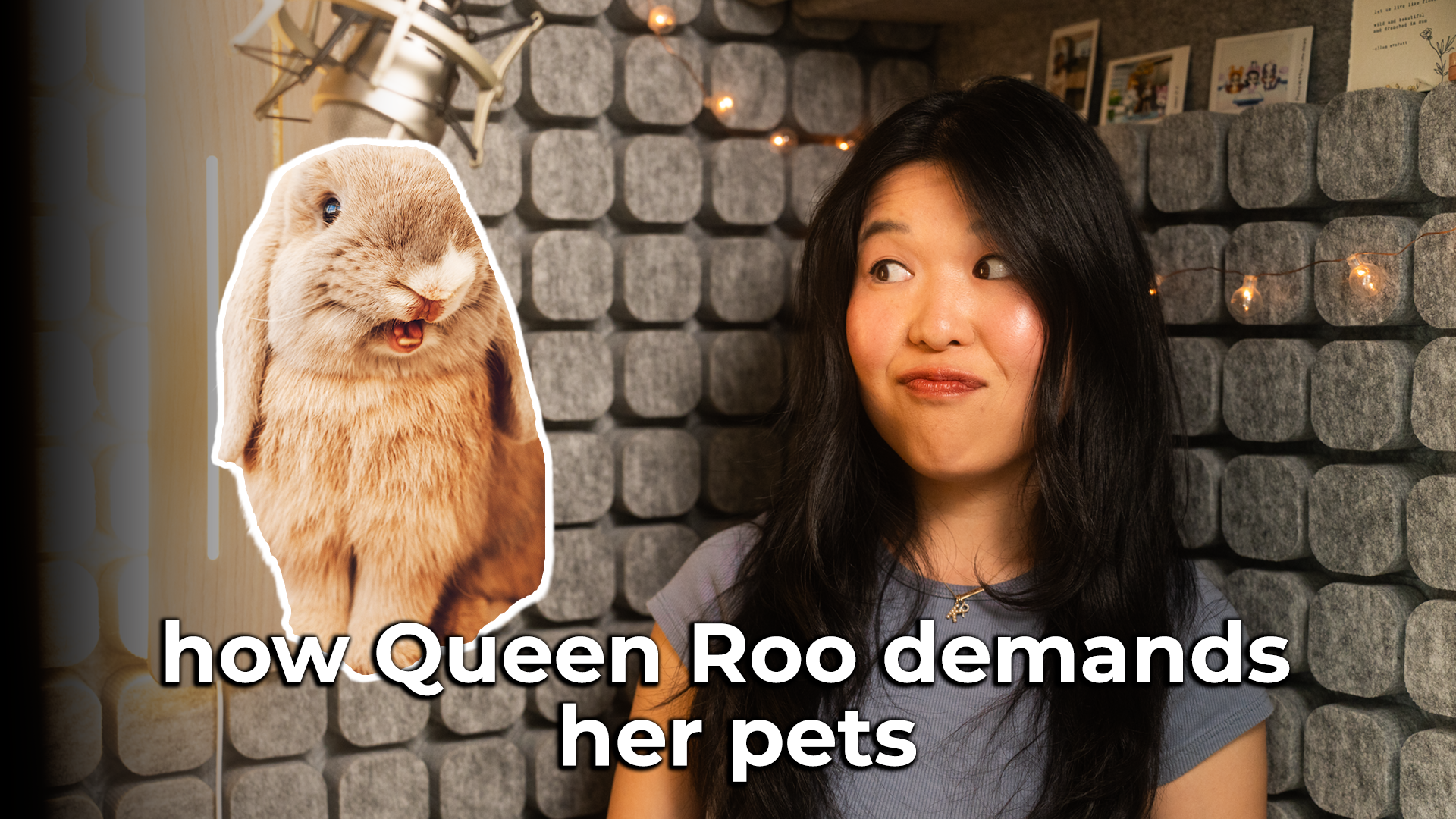 Bunny Nibbles: How Queen Roo Demands Her Pets