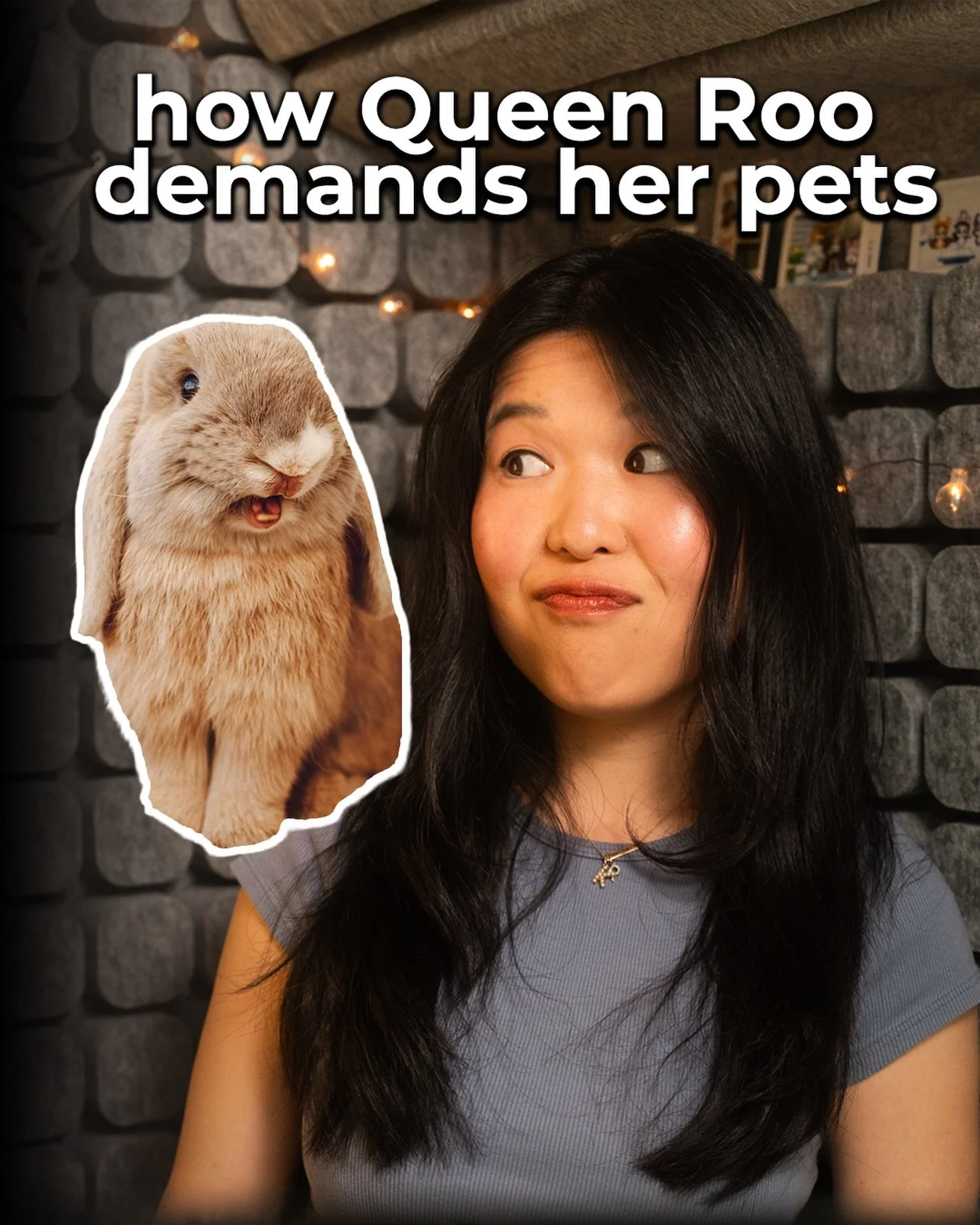 Hello Fluffle Fam!! It&rsquo;s a Nibbles day which means it&rsquo;s just a short little story to bring some joy to your day! Today&rsquo;s nibble is dedicated to our Queen Roo and the ways she likes to demand her pets and head massages. The Queen alw