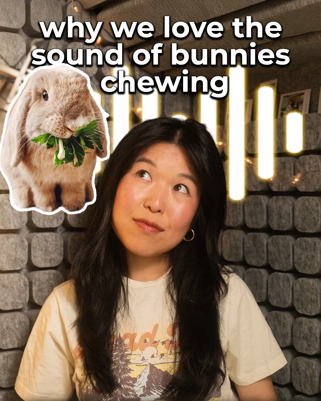 Helllooo Fluffle Fam!! Today&rsquo;s episode is such a fun one! It started with a brilliant question from someone in our Little Loppy Roo community: &ldquo;why is it that we love hearing bunnies chew but can&rsquo;t stand it from humans?!&rdquo; and 