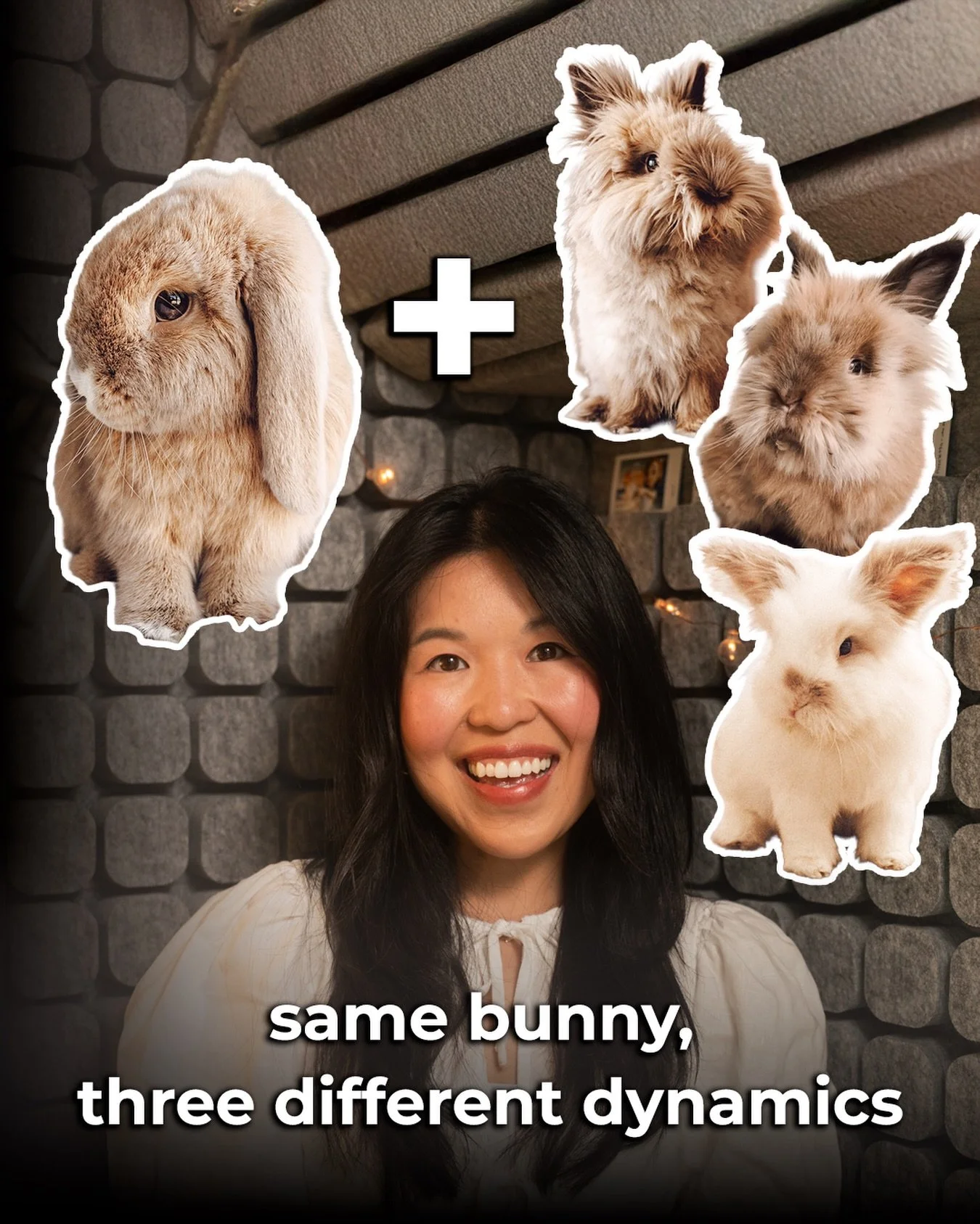 Hello Fluffle Fam! Today&rsquo;s episode is about the three very different relationships that our Queen Roo has had with each of her bunny companions. Every single one has been completely unique. Roo and Linus: soulmates, forever and ever. Roo and Ti