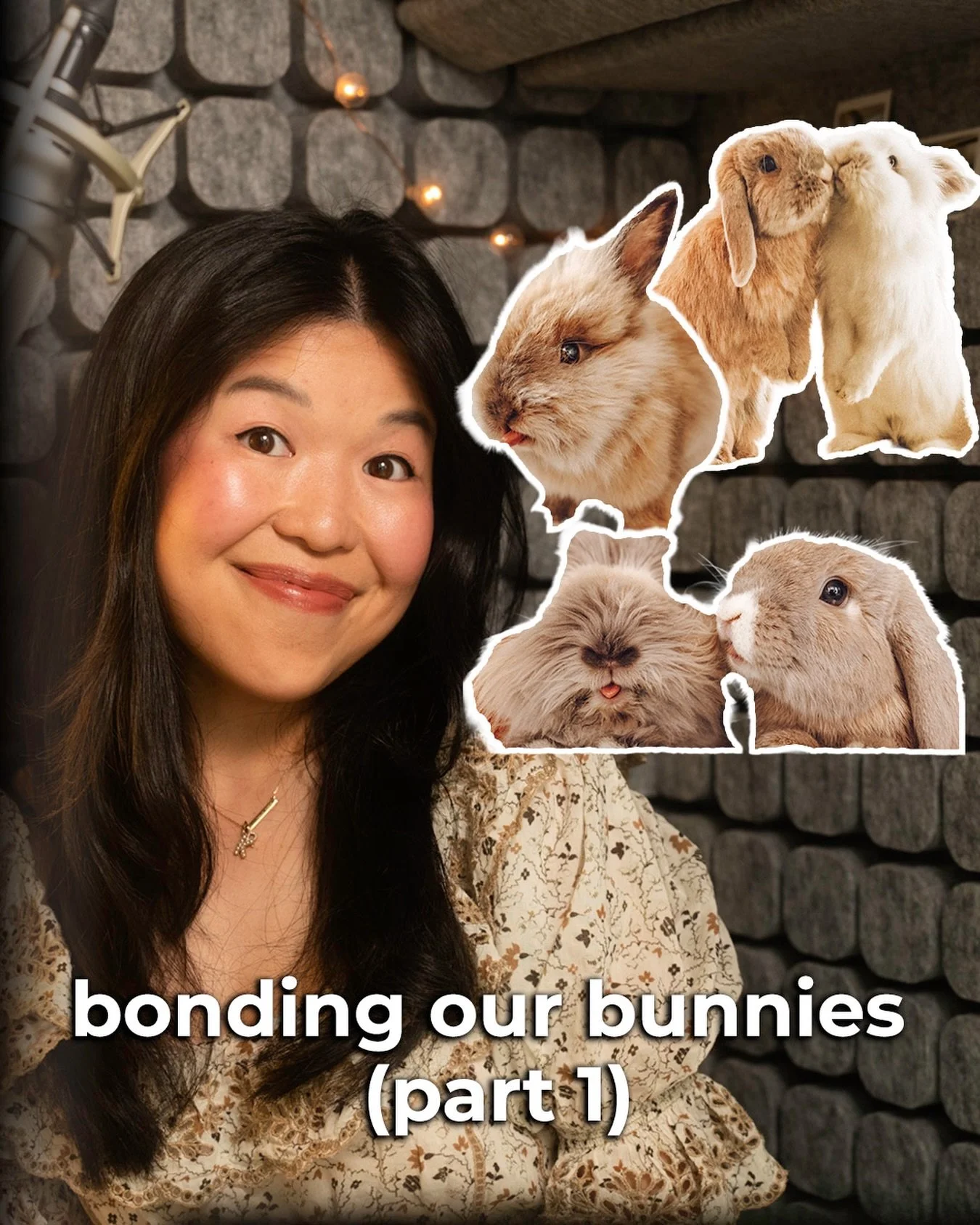 Hello Fluffle Fam!! Today I&rsquo;m diving deep into how we bonded our bunnies. Today is part one and we are covering A LOT. Should you get your bunny a friend? What are the different bonding methods? What do you need to have ready before you even at
