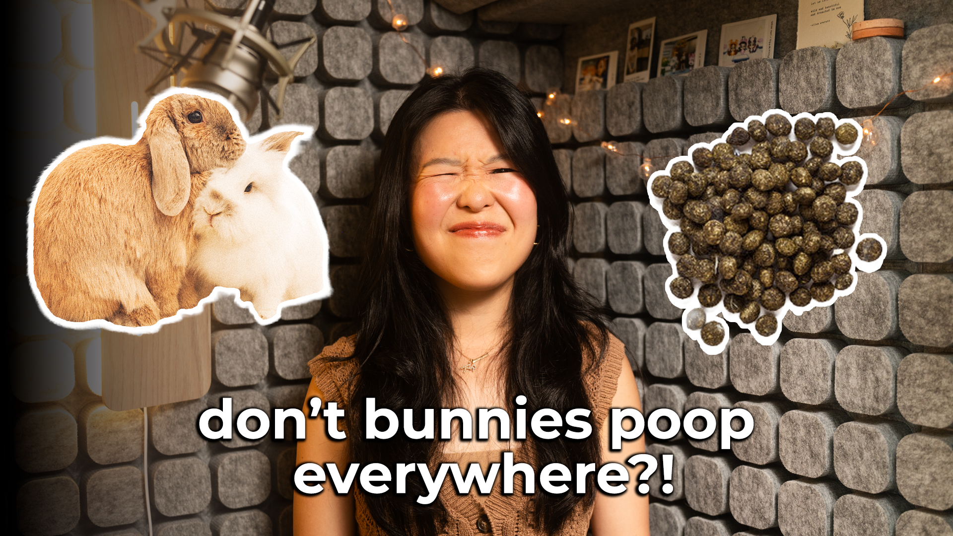 Don’t Bunnies Poop Everywhere?!