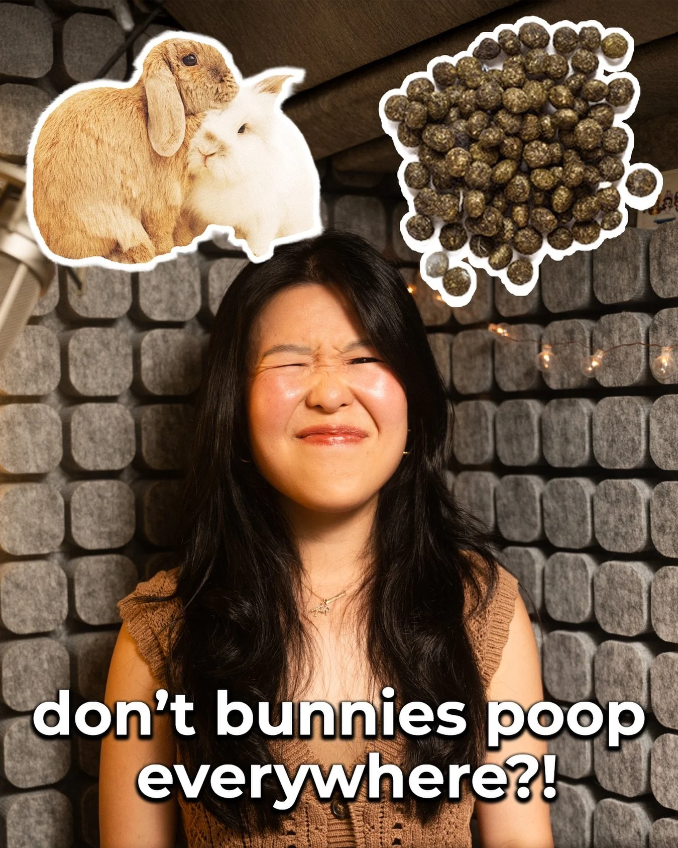 Hello Fluffle Fam! Today&rsquo;s episode is dedicated to the question we get asked very often: &ldquo;don&rsquo;t your bunnies poop everywhere?!&rdquo; Someone even assumed our videos were AI 😆 It&rsquo;s a huge misconception that bunnies poop every