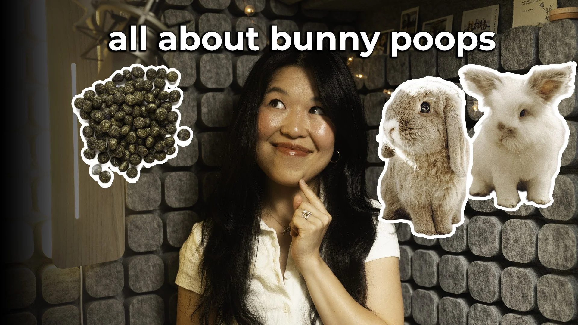 All About Bunny Poop