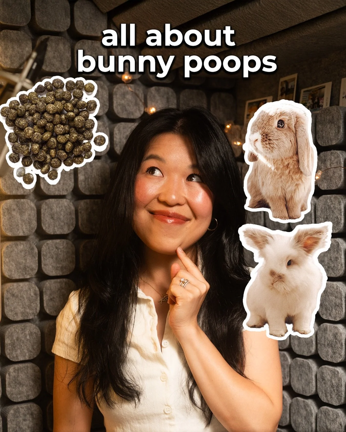 Helloooo Fluffle Fam!! Today&rsquo;s episode we are talking ALL about bunny poop! 🤭

We&rsquo;re covering:
🐰 The two types of rabbit droppings 
🐰 What healthy poop looks like (your daily checklist)
🐰 What abnormal poop is telling us and when to c