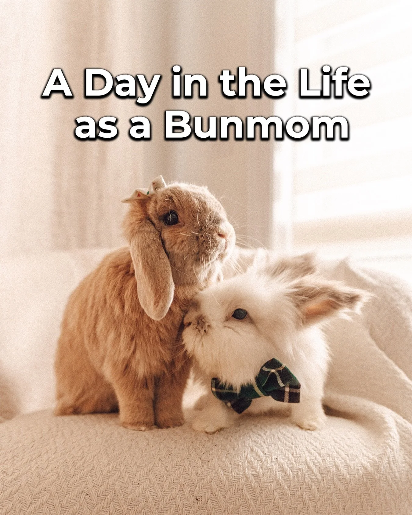 Hello Fluffle Fam!! It&rsquo;s another cozyyy episode today 🥰 I&rsquo;m taking you into a completely ordinary day in my life as a bunmom to Roo and Kumo. Morning breakfast tent bliss. Stacking cups joy. New playground adventures. Evening floor pampe