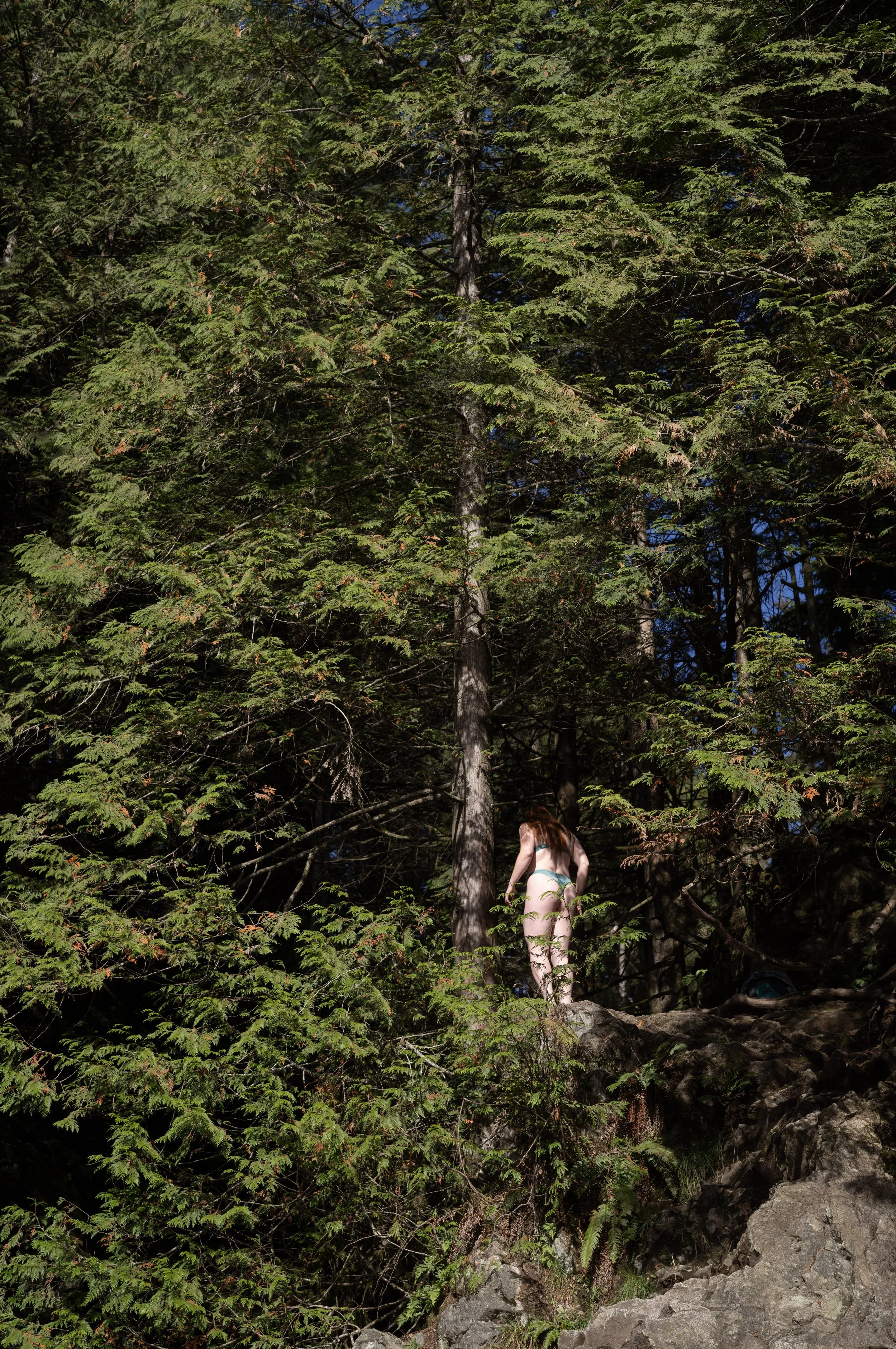 49°20'49.87" N 123°1'13.69" W