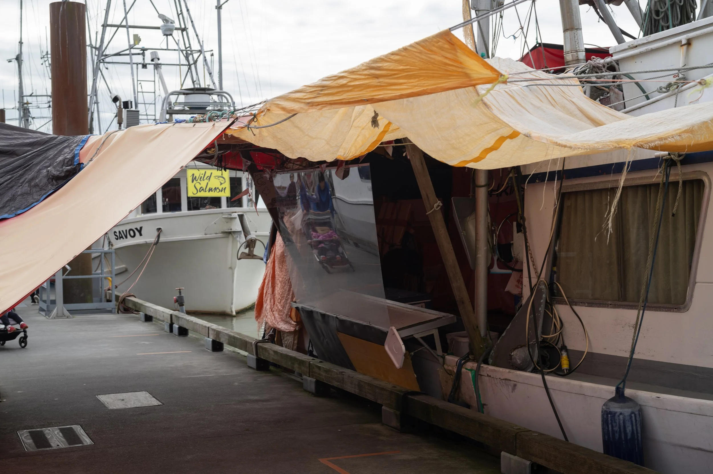 49°7'24.28" N 123°11'4.34" W