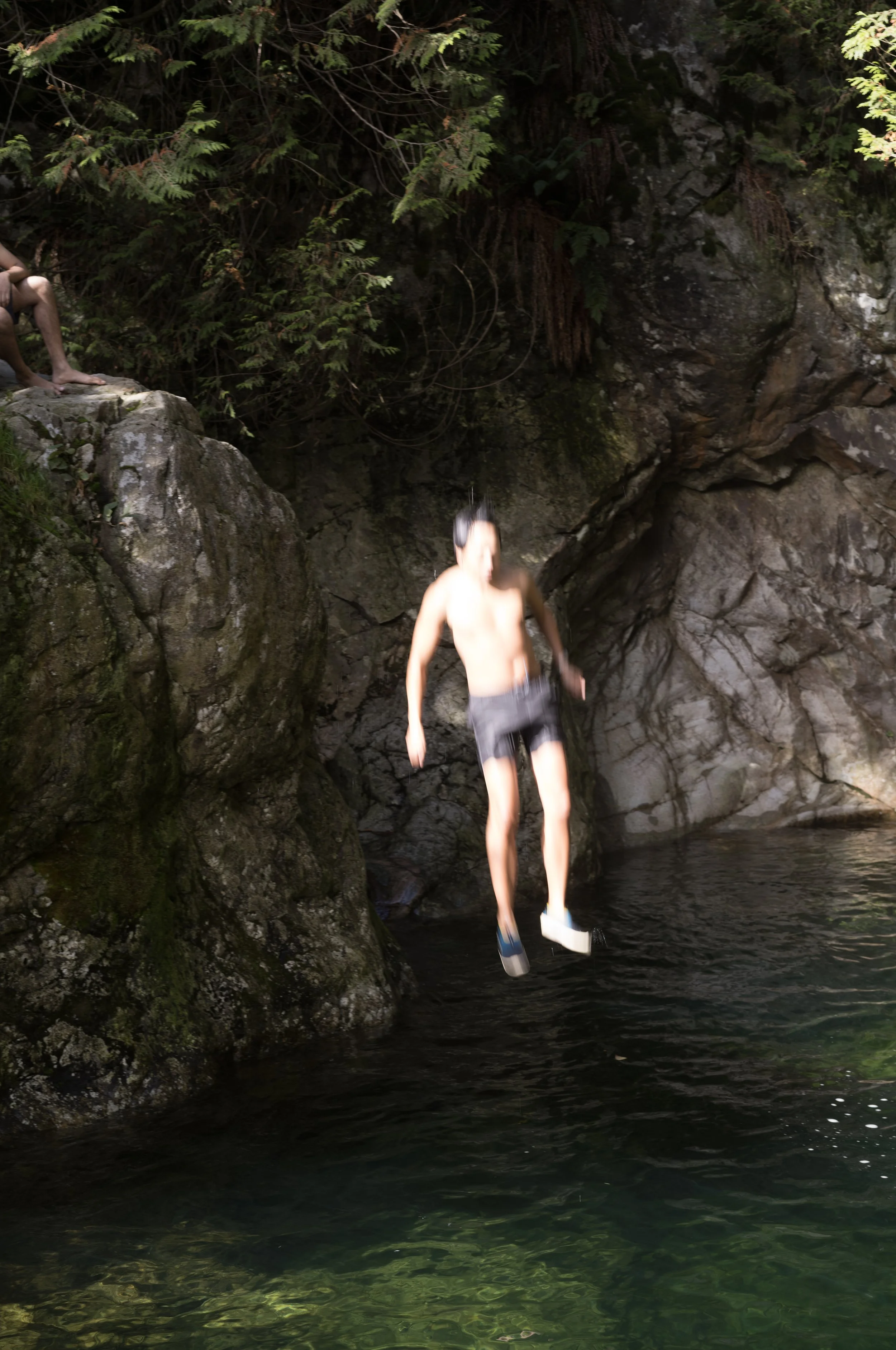 49°20'50.39" N 123°1'14.13" W