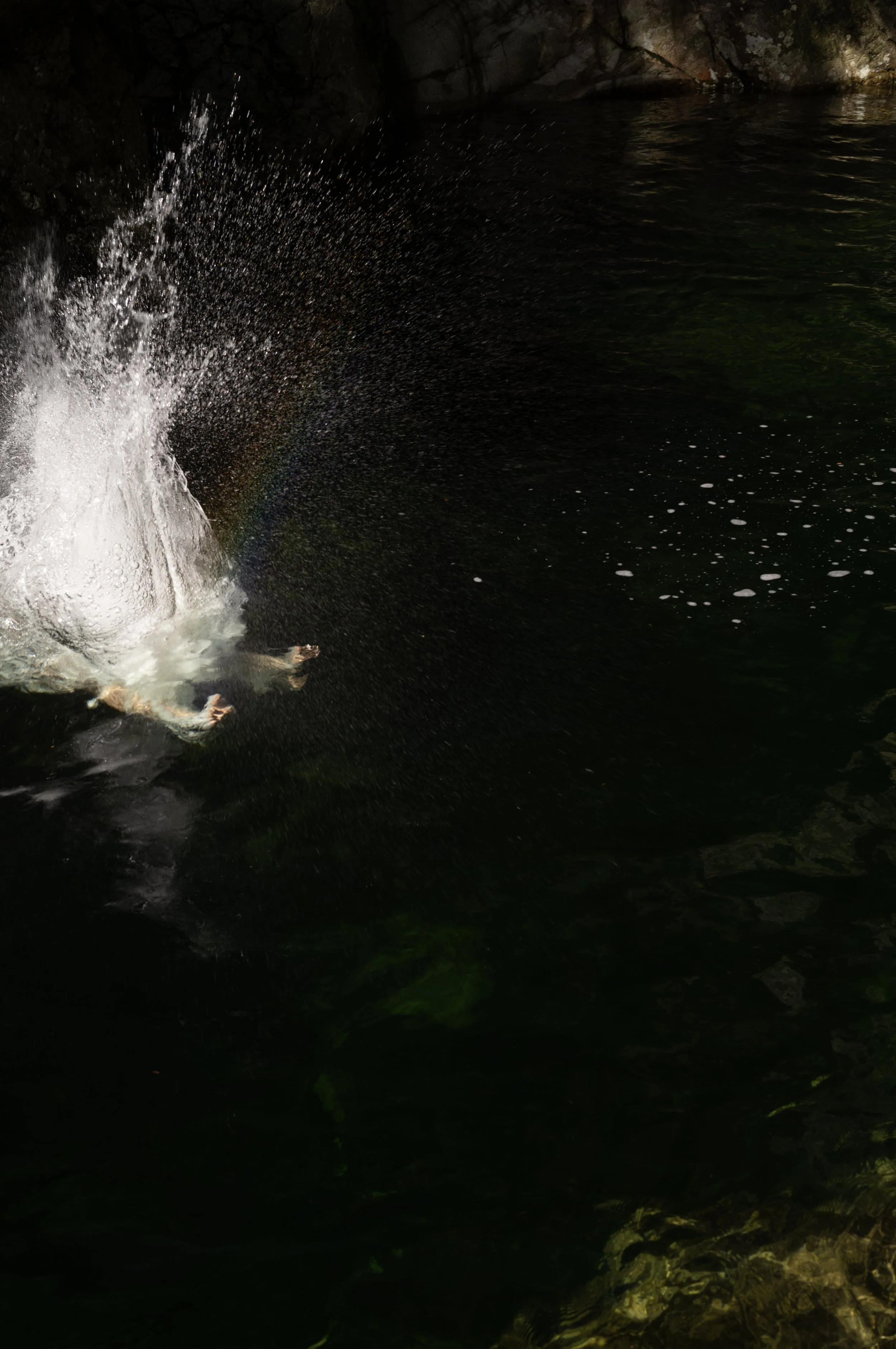 49°20'50.4" N 123°1'14.51" W