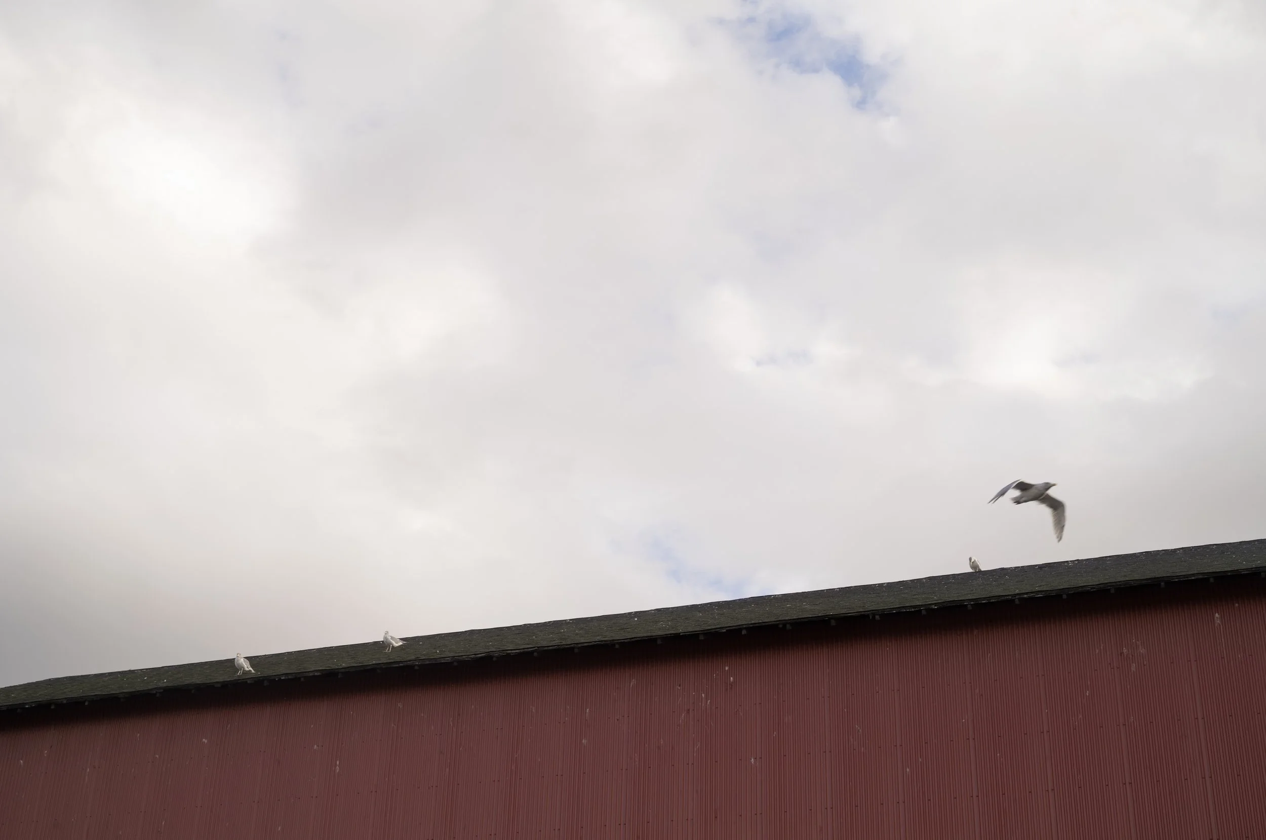 49°17'26.53" N 123°8'0.78" W