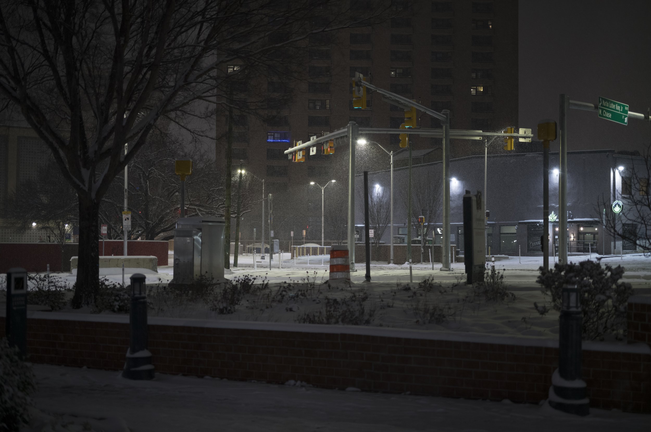 Blizzard(9)