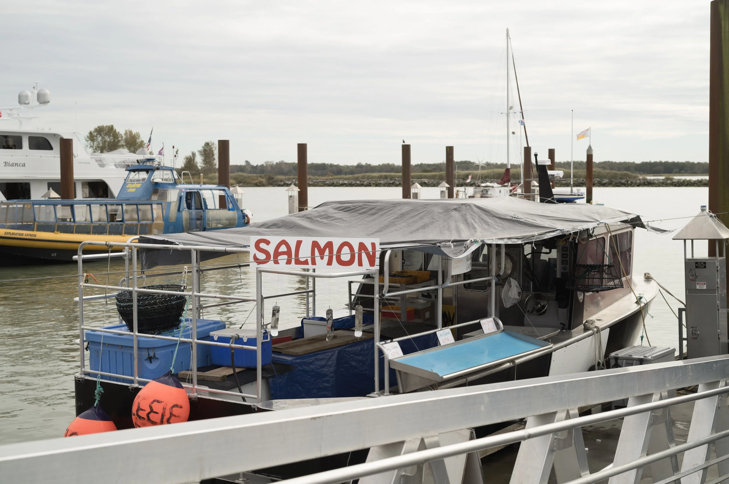 49°7'25.31" N 123°11'3.79" W