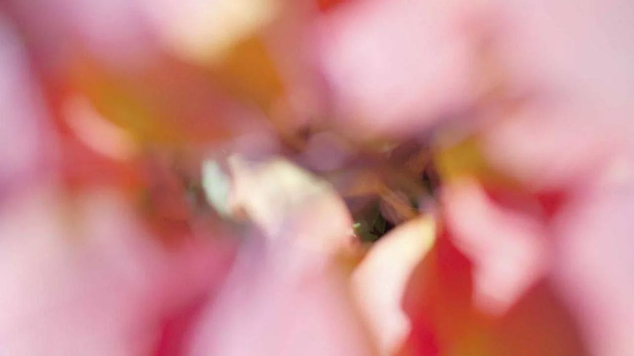 Exemple harmonie de couleur : combinaisons qui fonctionnent