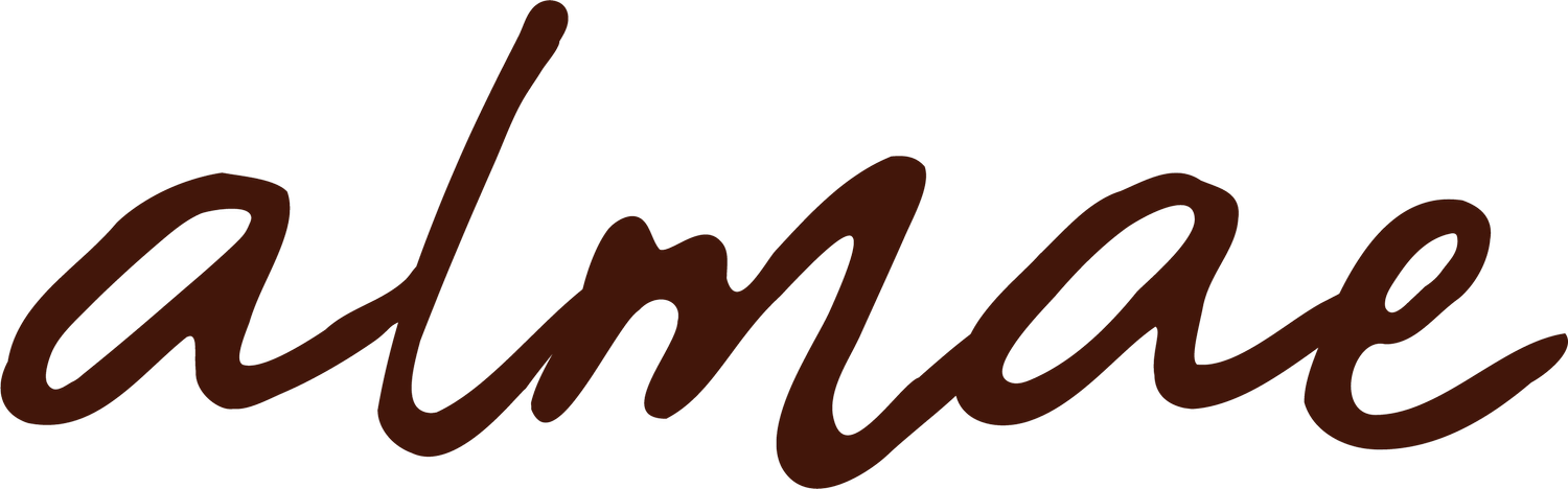 STUDIO ALMAE BRANDING LOGO GRAPHISTE FREELANCE