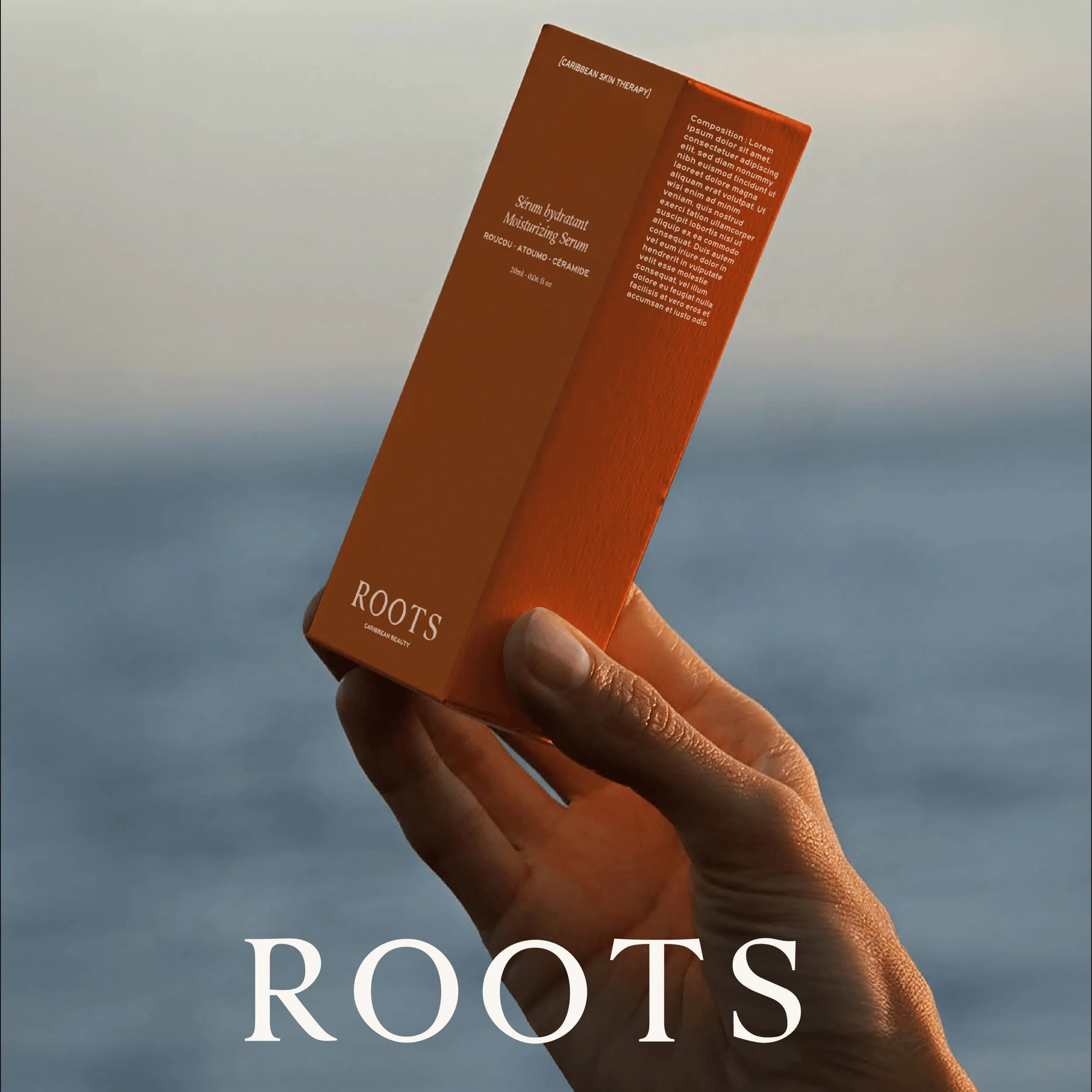 Image de marque complète pour une marque de cosmétique premium