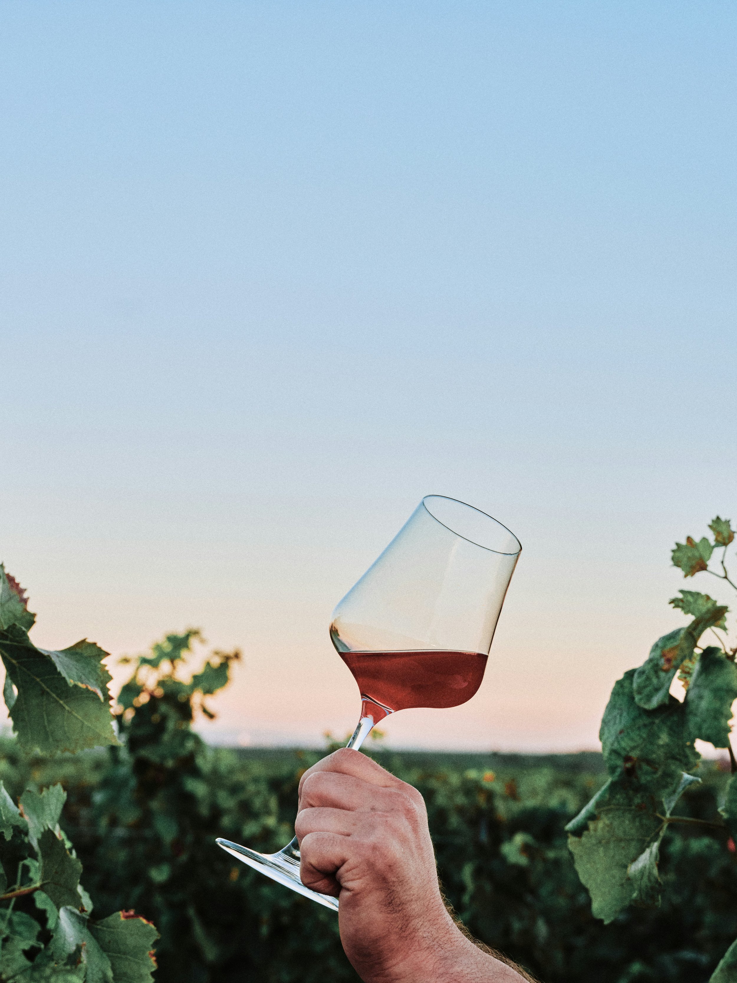Branding pour une marque de vin pour un château renommé français