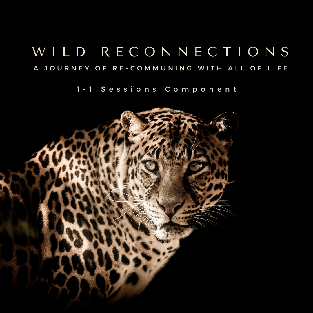 WR 1-1 Sessions Promo_1080x1080.png