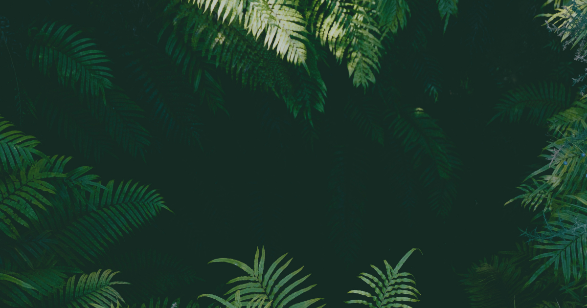 8.png