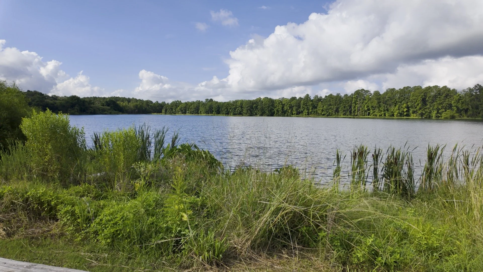 Creekfire RV Resort Review: A Family-Friendly Base Near Savannah