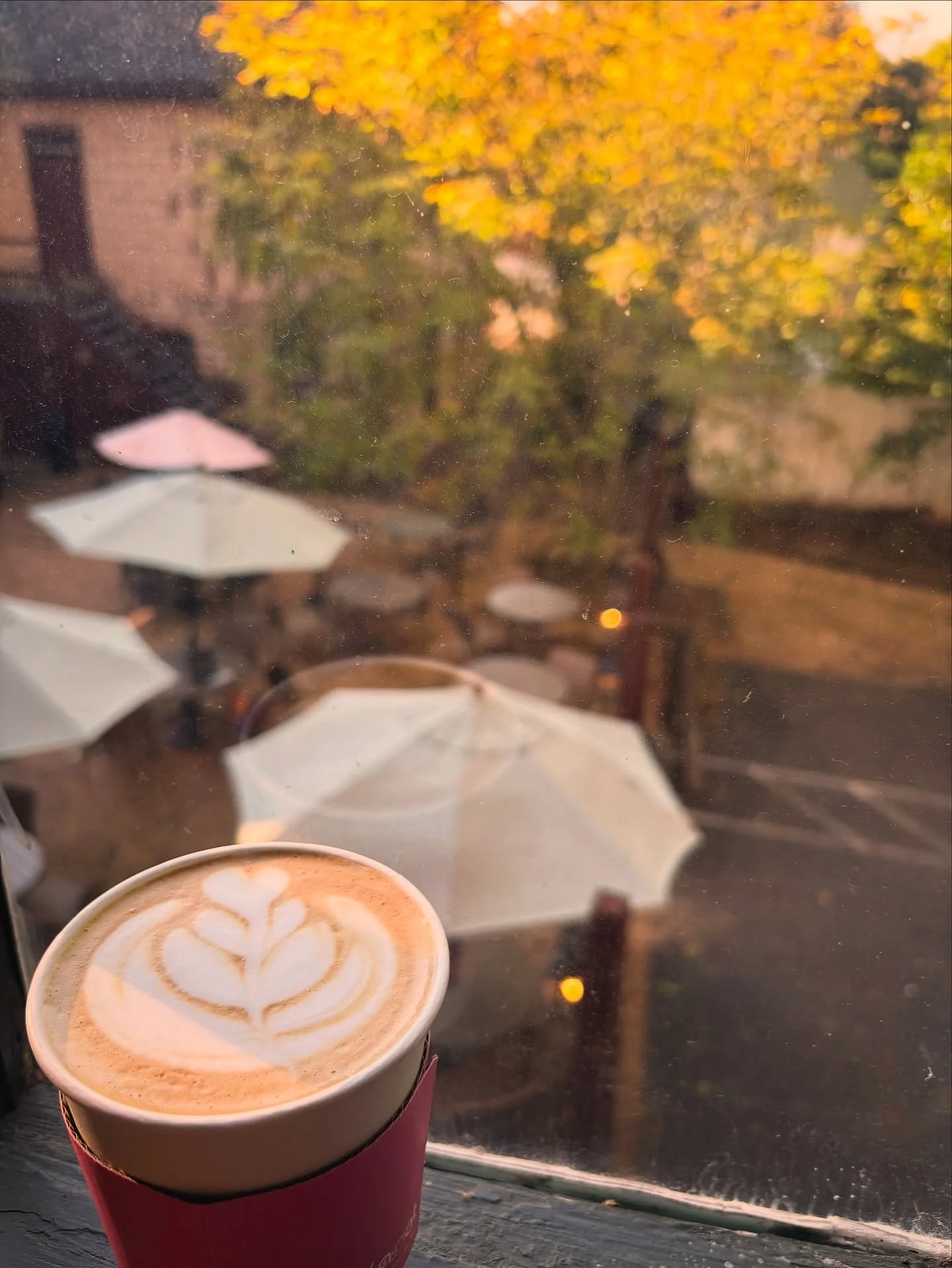 Another beautiful morning at the Lot 🌅 Also, don&rsquo;t worry we feel the weather changing too 🍂and our Fall menu will be here soon!! So keep an eye out. But if you can&rsquo;t wait don&rsquo;t sweat it we already have our pumpkin spice ready to g
