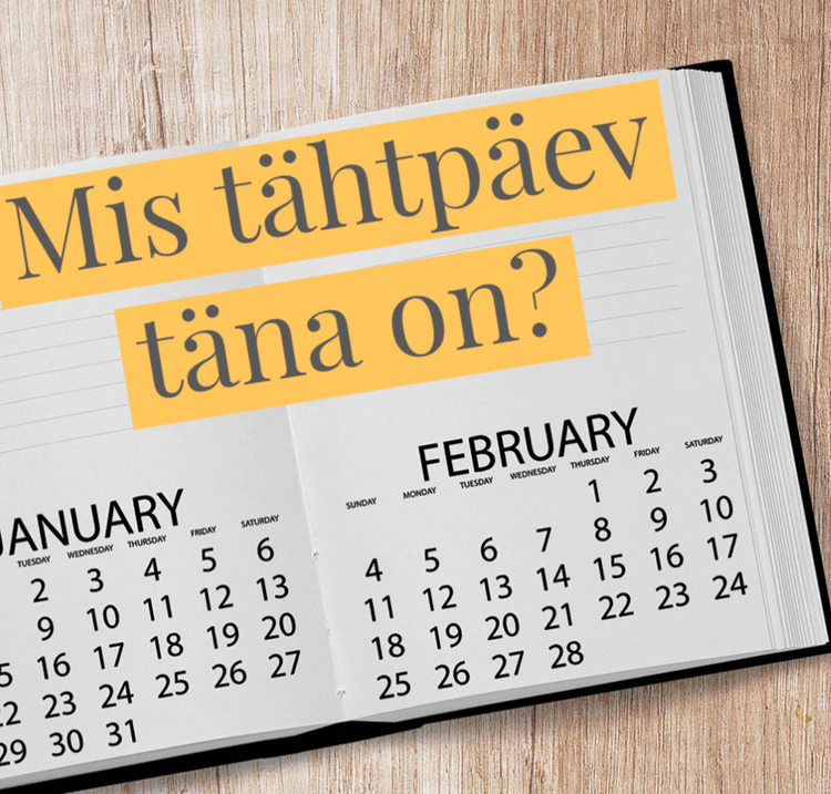 Õppematerjalid — Nipitiri diginipid