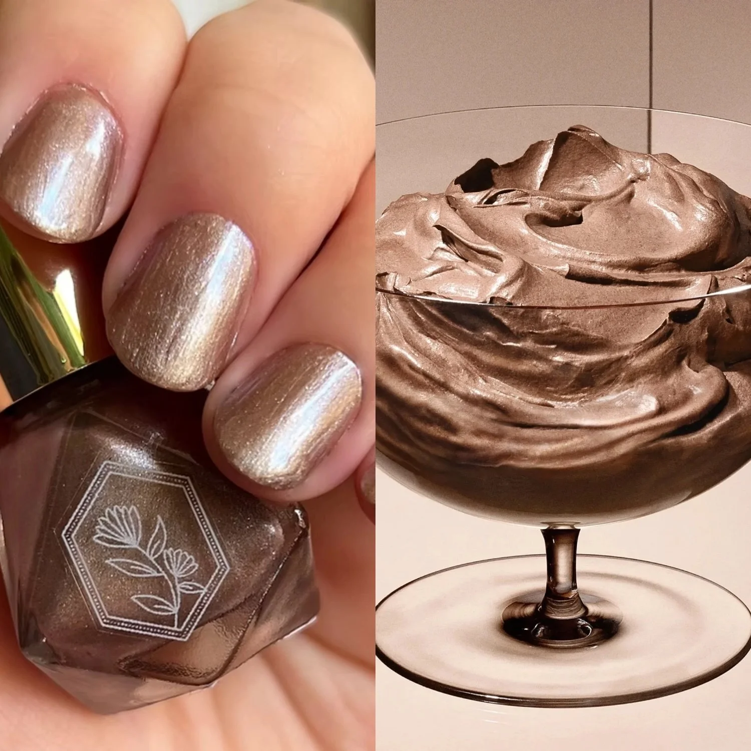 palafoxia chocolate mousse 3.jpeg