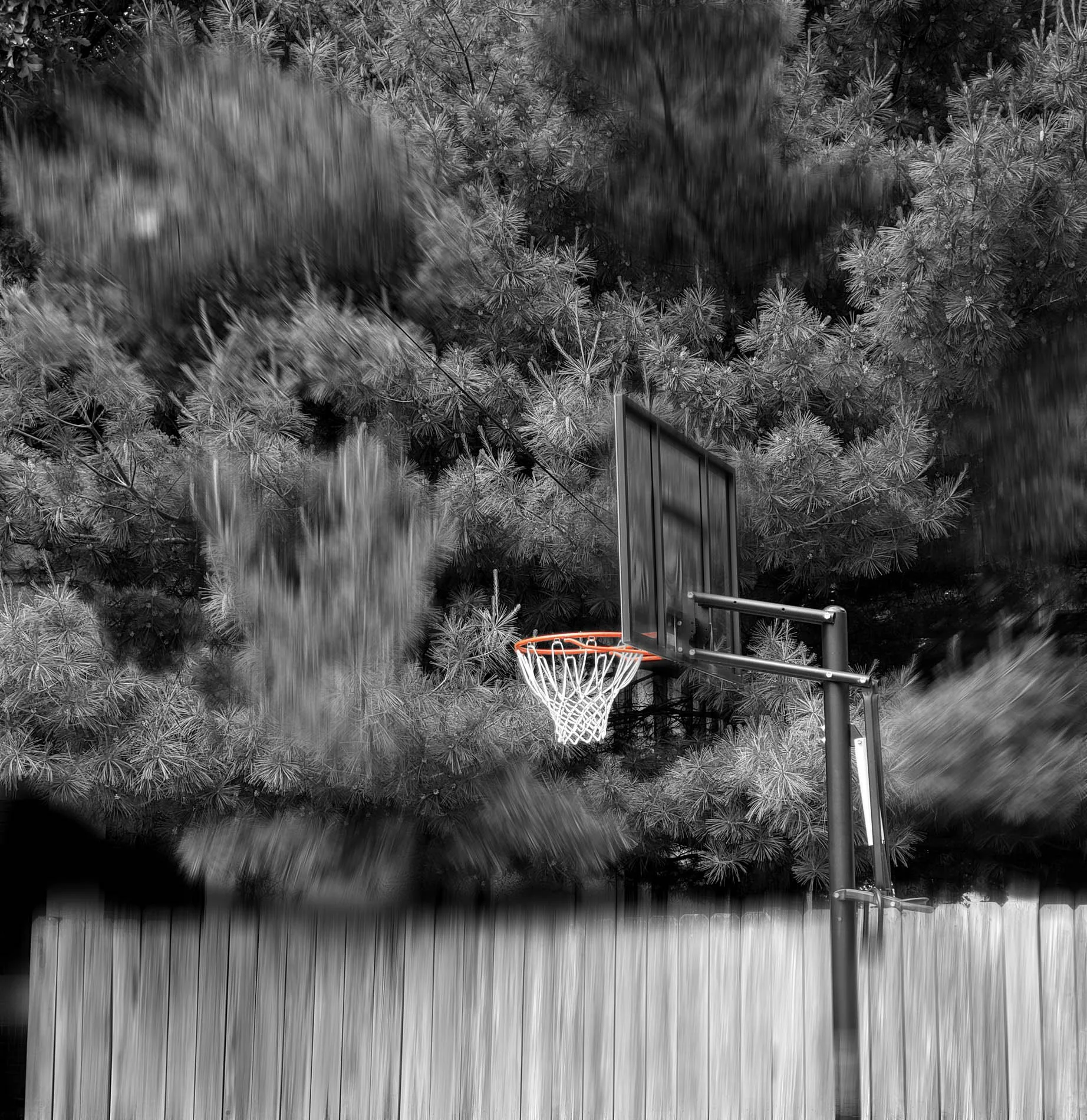 Basketball Hoop