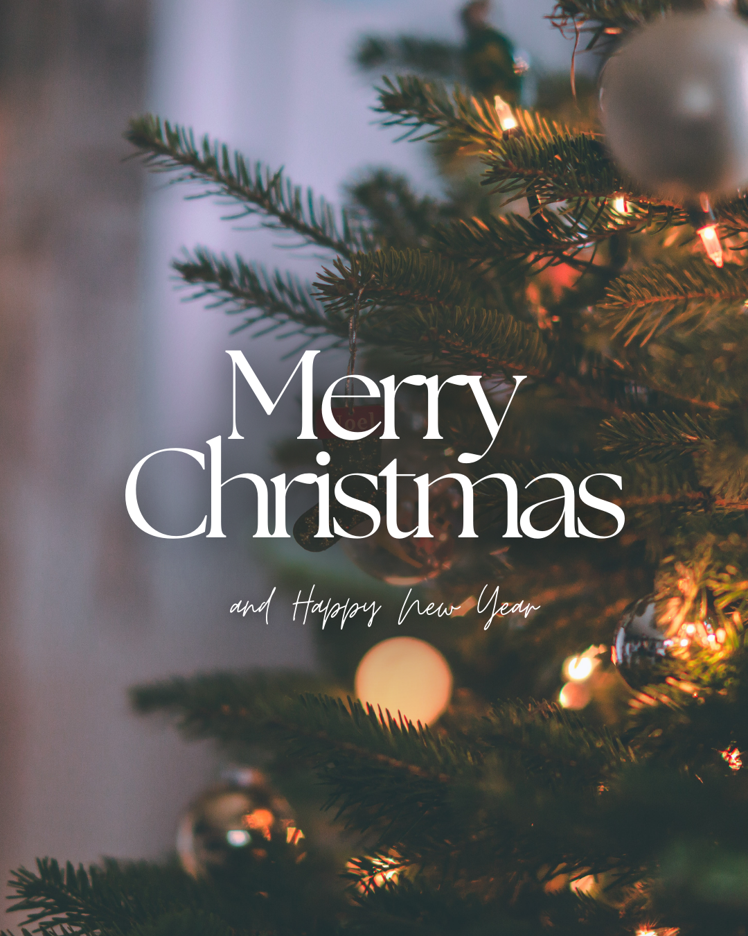 8_Merry Christmas.png