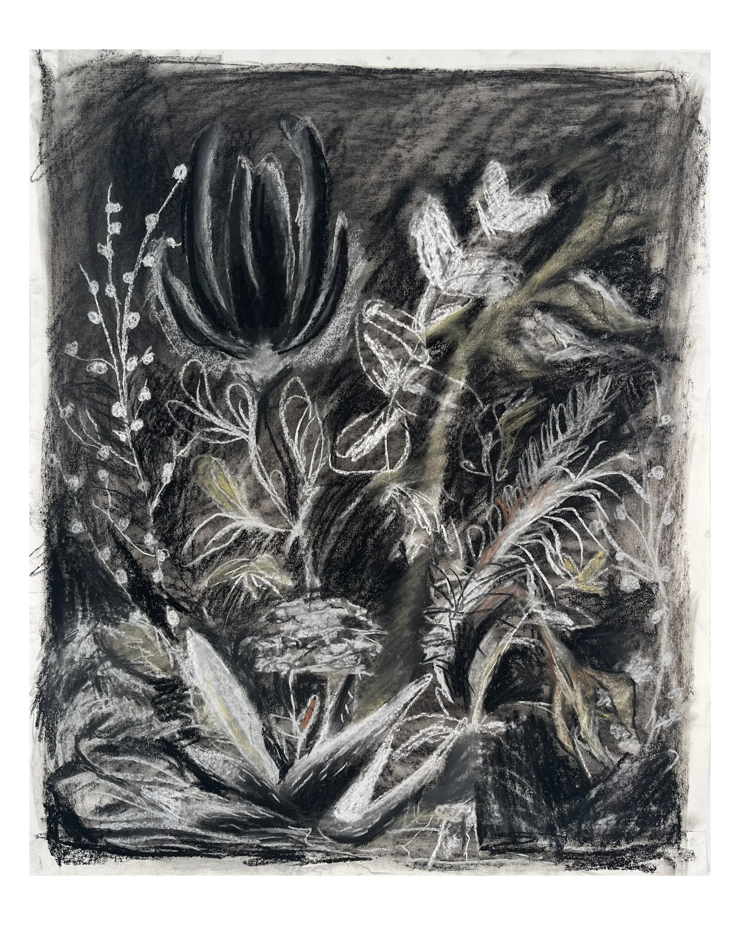 Flower Still Life Portrait, February 2 2022.JPG