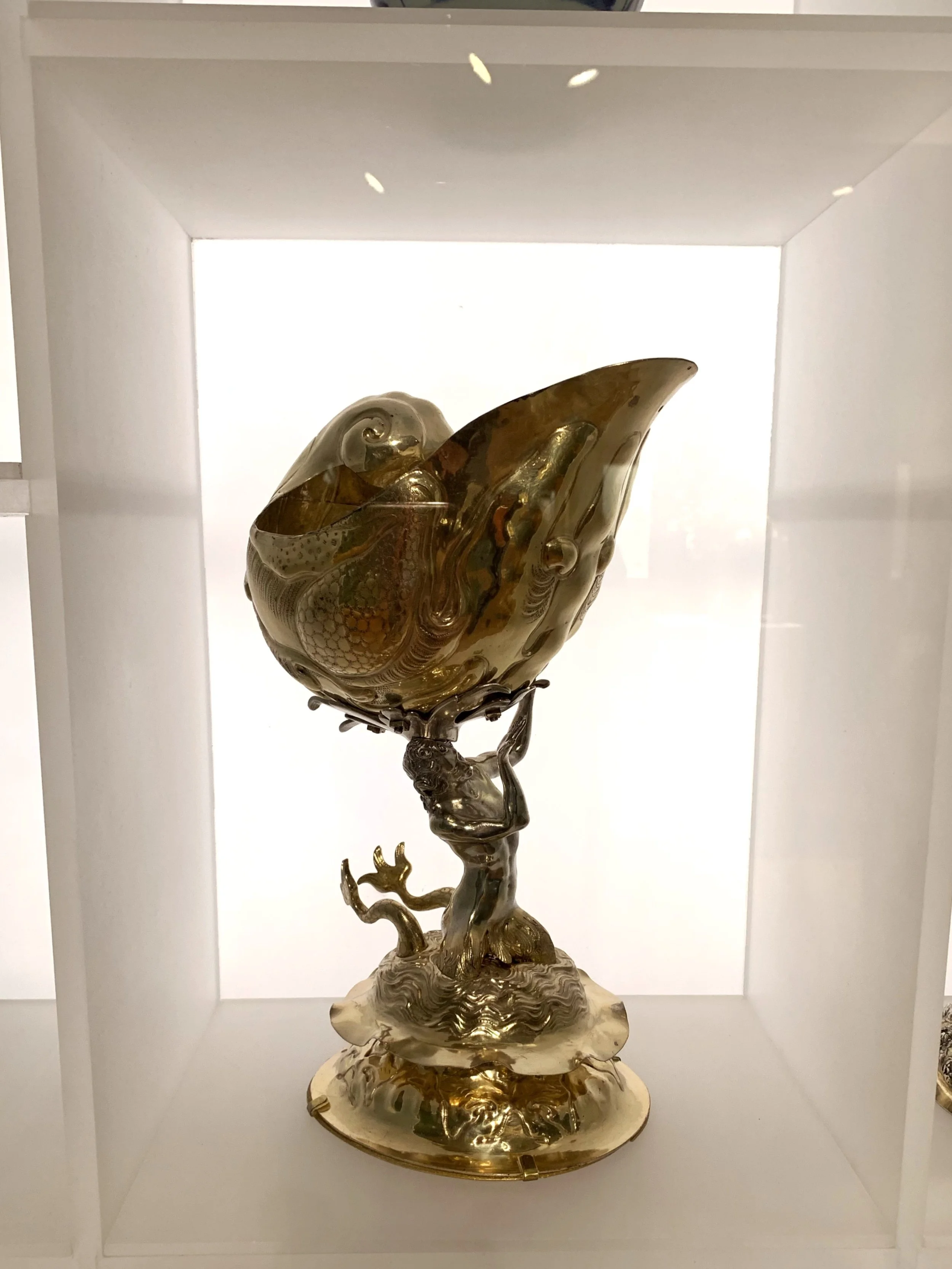 Nautilus Cup by David Bessmann 1.jpeg