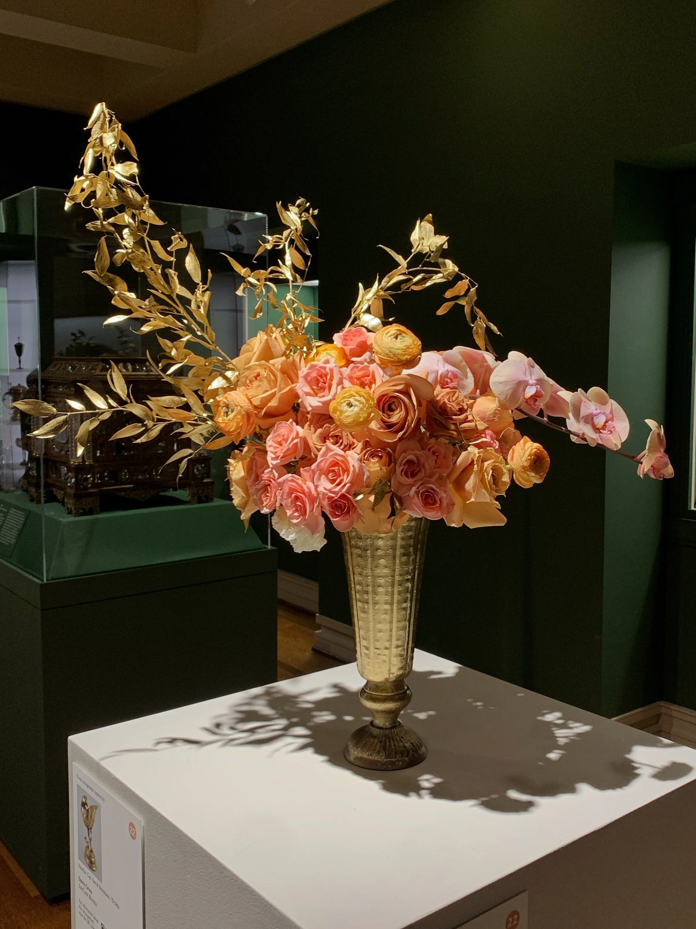 Nautilus Cup by David Bessmann 2.jpeg