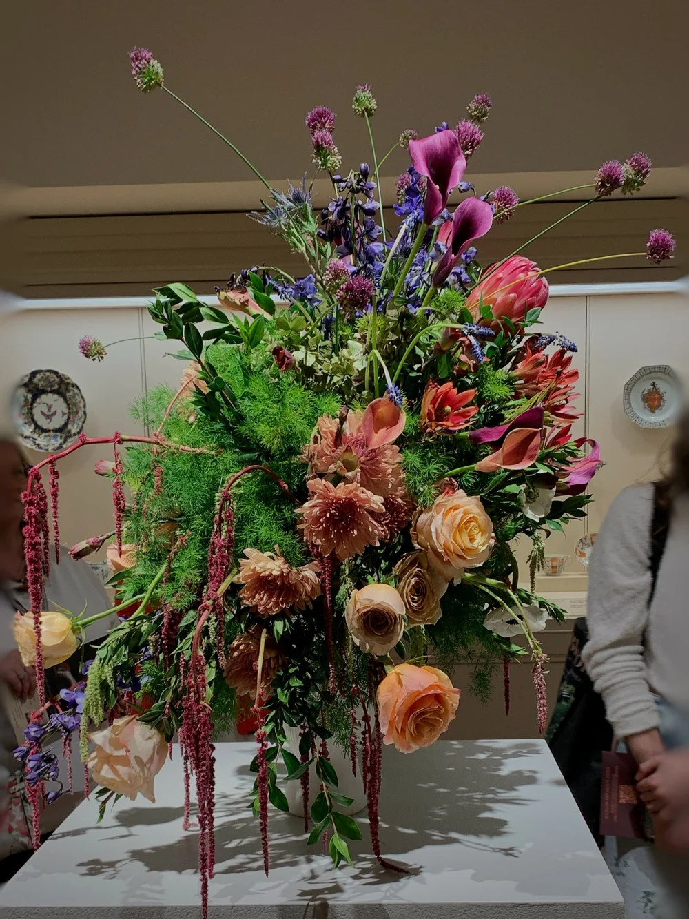 Pair of Parrots 2.jpeg