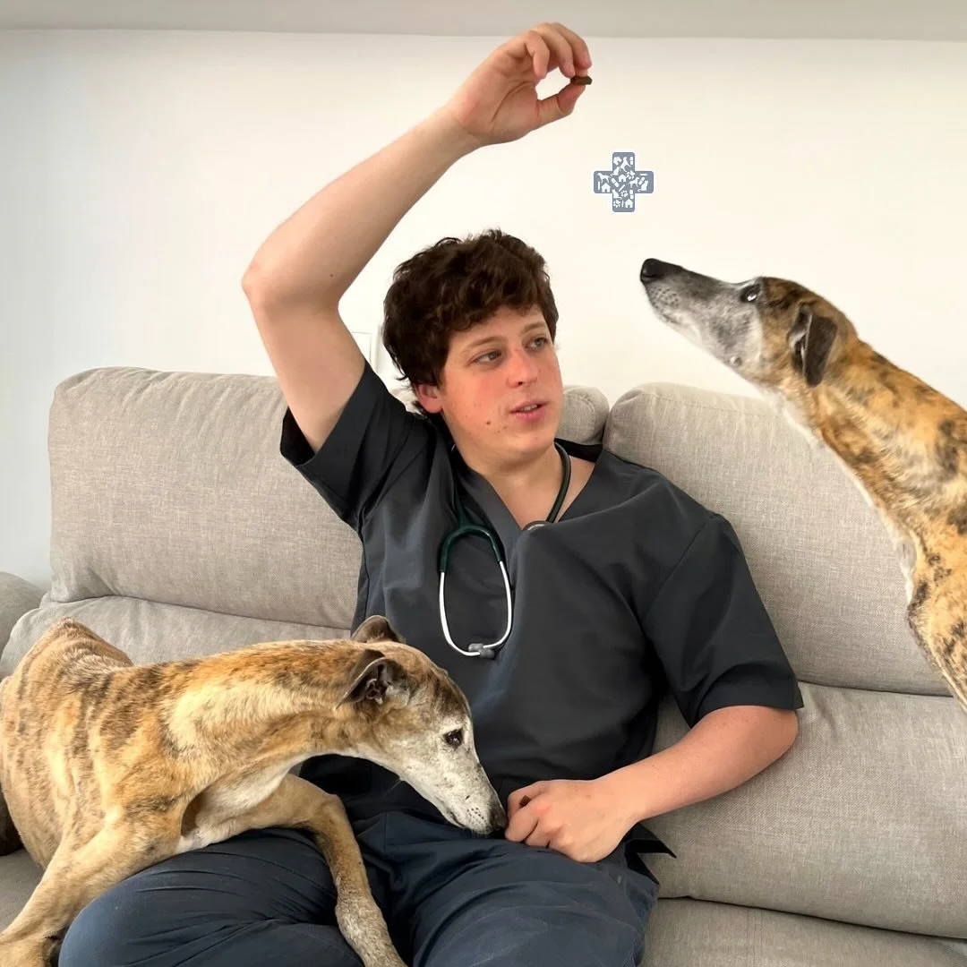 🌍 En el D&iacute;a Mundial del Veterinario queremos agradecer a todos nuestros compa&ntilde;eros de profesi&oacute;n por cuidar y velar por la salud de nuestros amigos peludos. 🐾 🩺

&iexcl;Vuestra labor es invaluable!🧑🏻&zwj;⚕️👨🏻&zwj;⚕️

#DiaMu