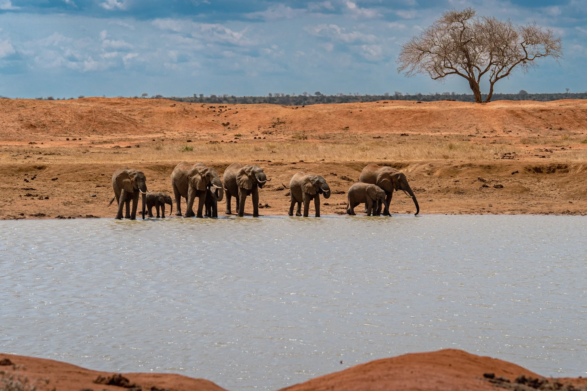 20260620_TSAVO EAST SAFARI_020.jpg
