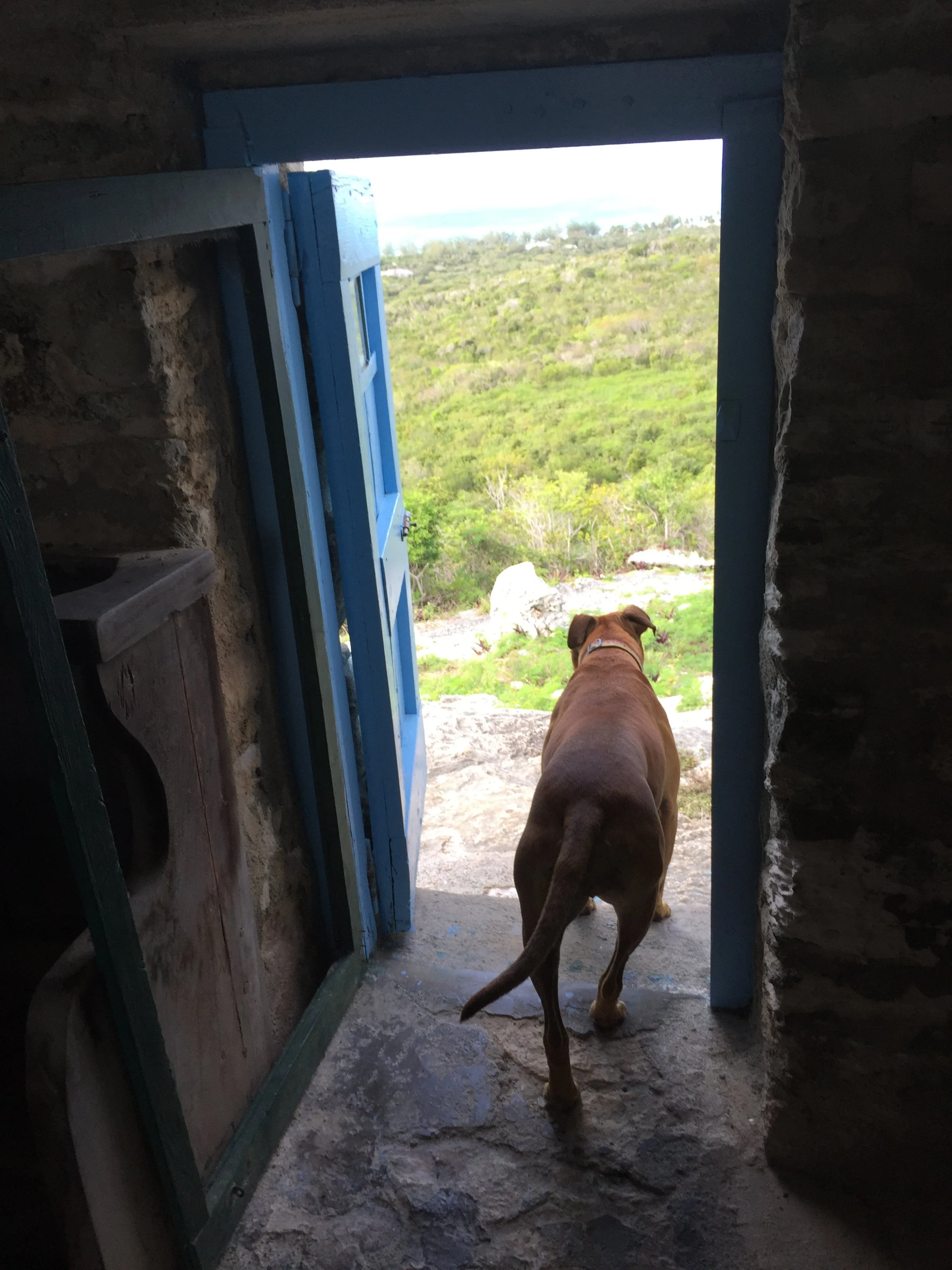 Nikki looking out over Cat Island