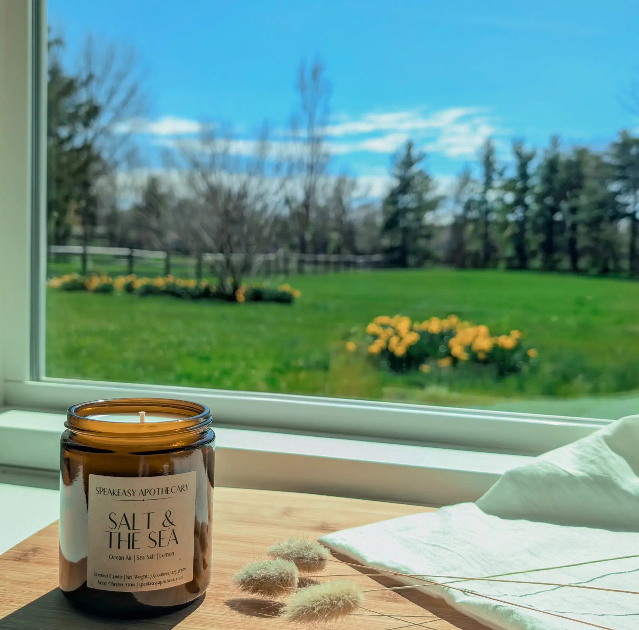 Salt and the Sea.webp