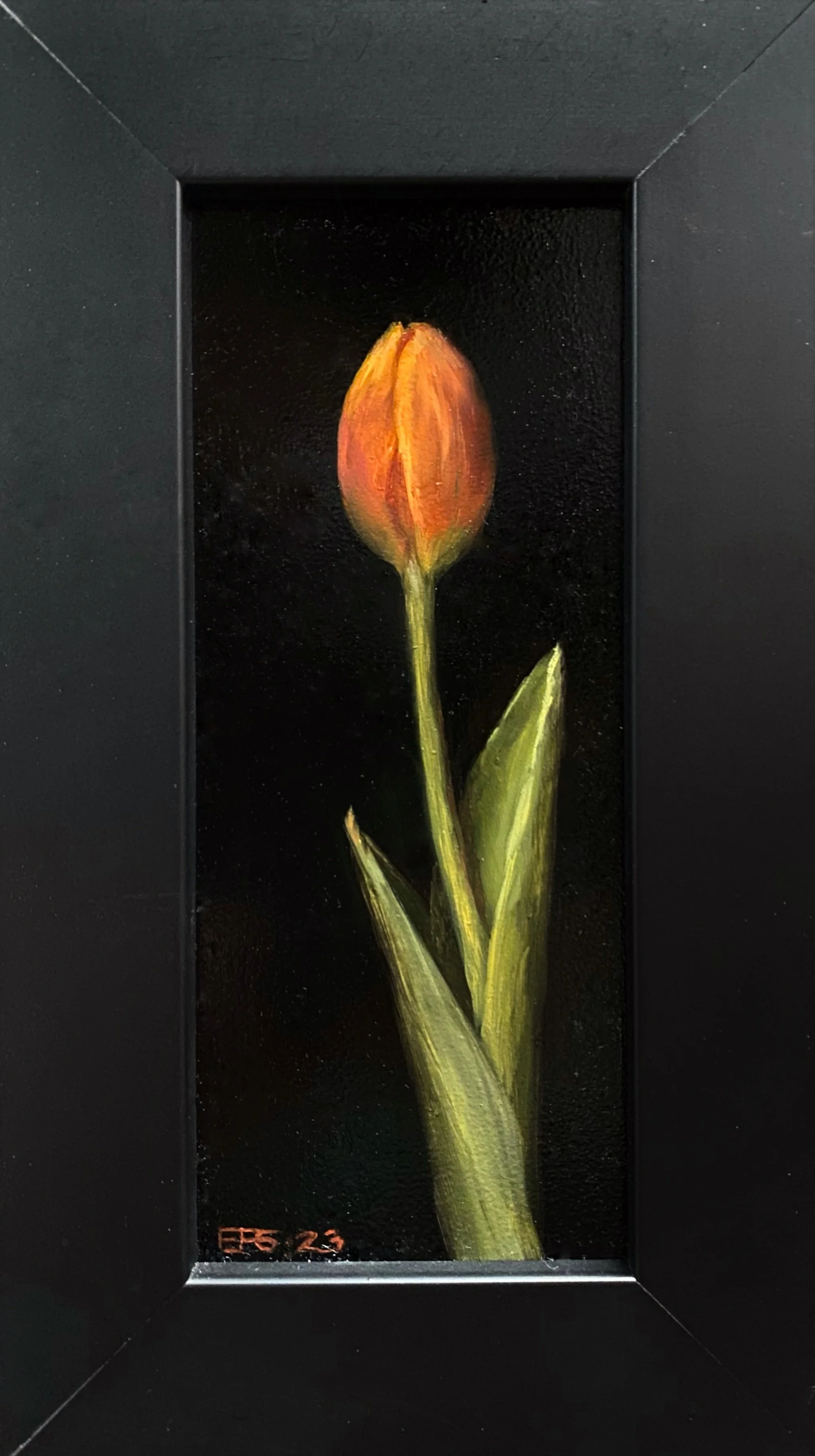 Orange Tulip full, 24x14cm, $145