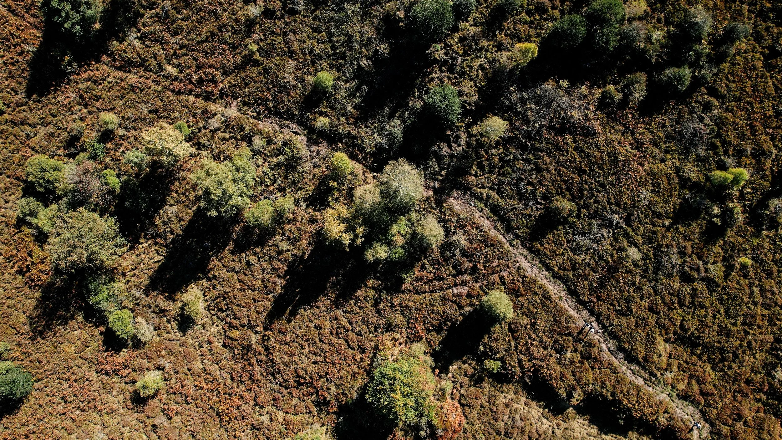 pour captures.00_00_46_22.Still003.jpg