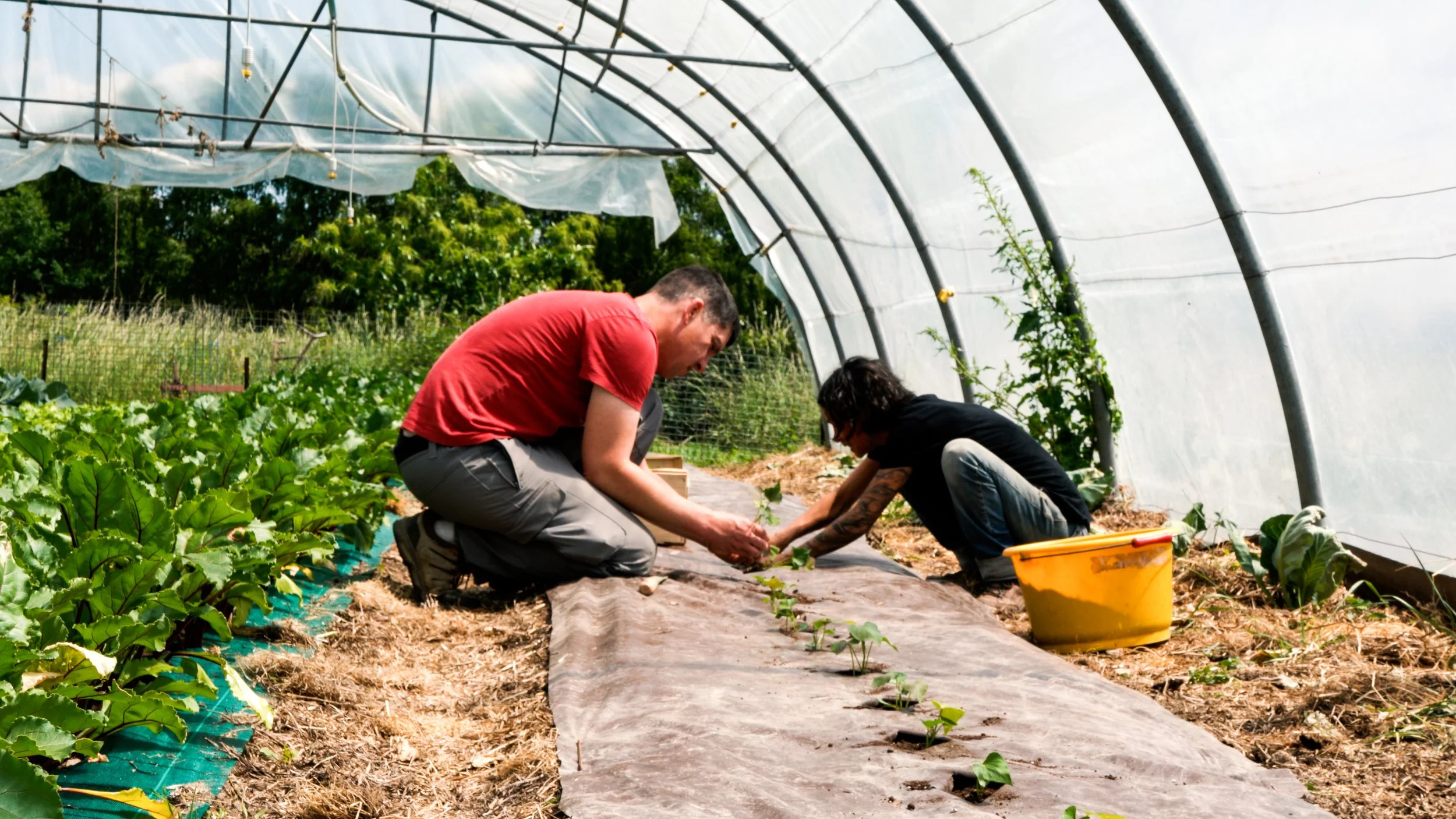 pour capture.00_00_19_10.Still005.jpg