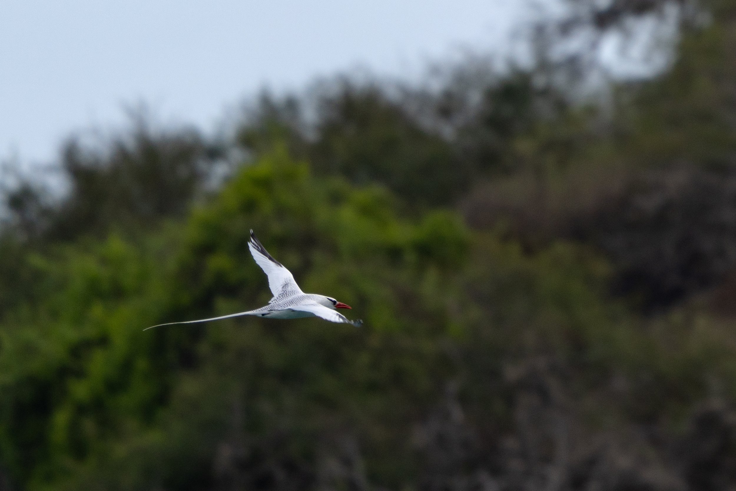 DSC04135.jpg