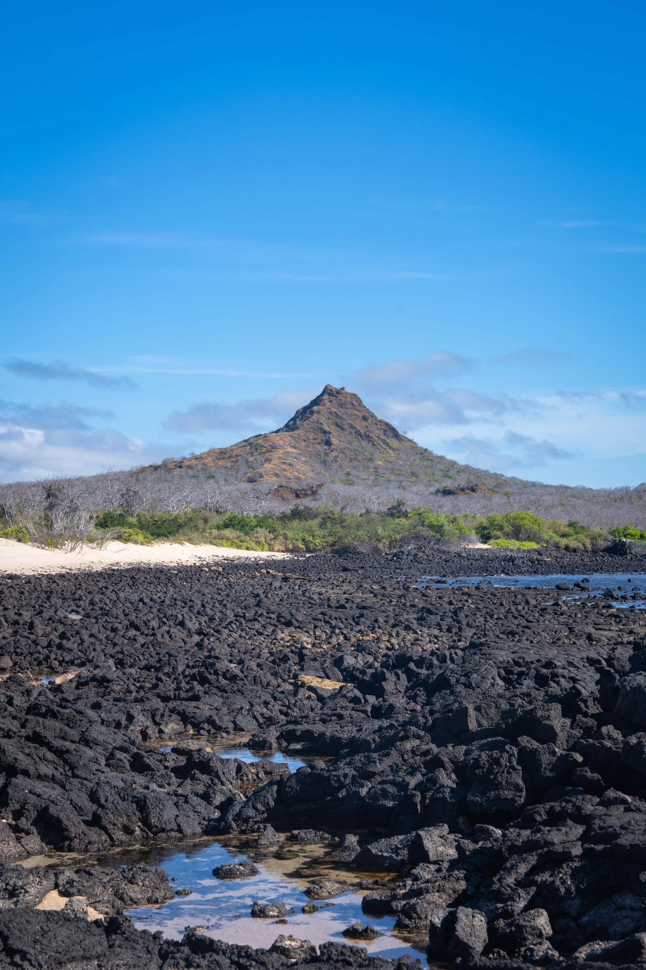 DSC05061.jpg