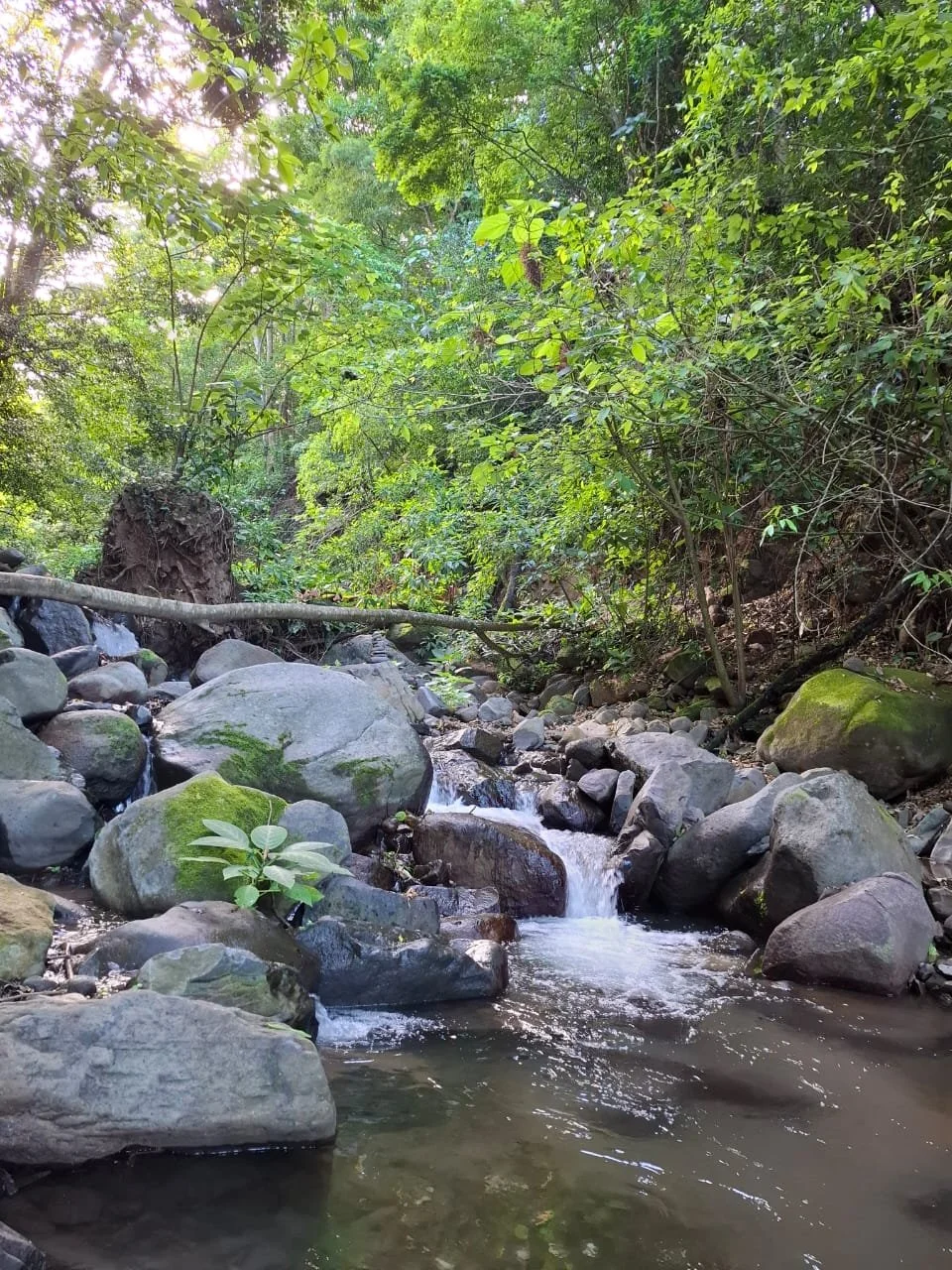 WhatsApp Image 2025-10-16 at 18.54.07.jpeg