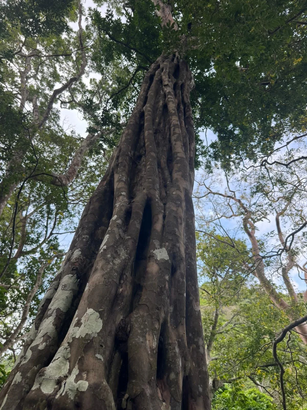 WhatsApp Image 2025-10-16 at 18.54.16 (3).jpeg