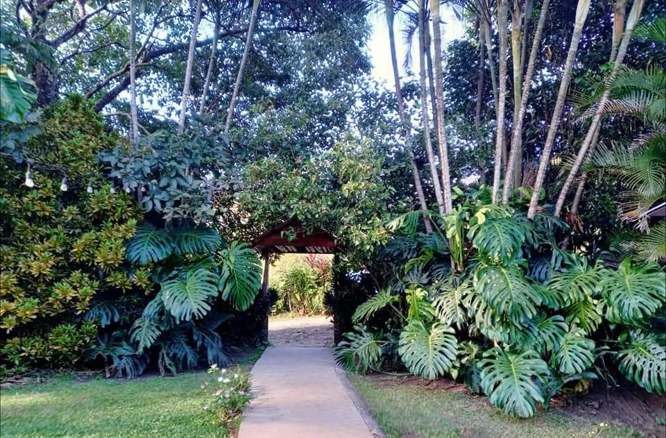 WhatsApp Image 2025-10-16 at 18.54.16.jpeg