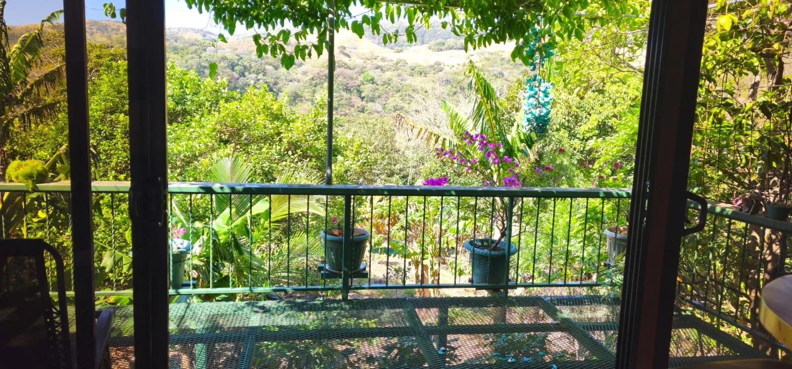 WhatsApp Image 2025-10-16 at 18.54.14 (4).jpeg