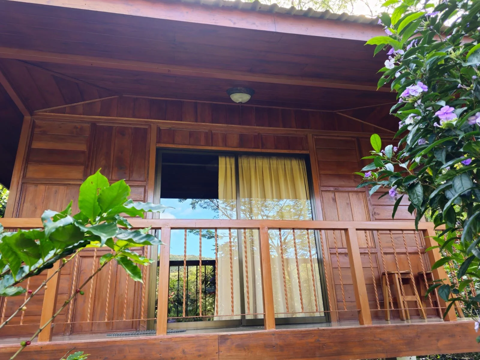 WhatsApp Image 2025-10-16 at 18.54.14 (3).jpeg