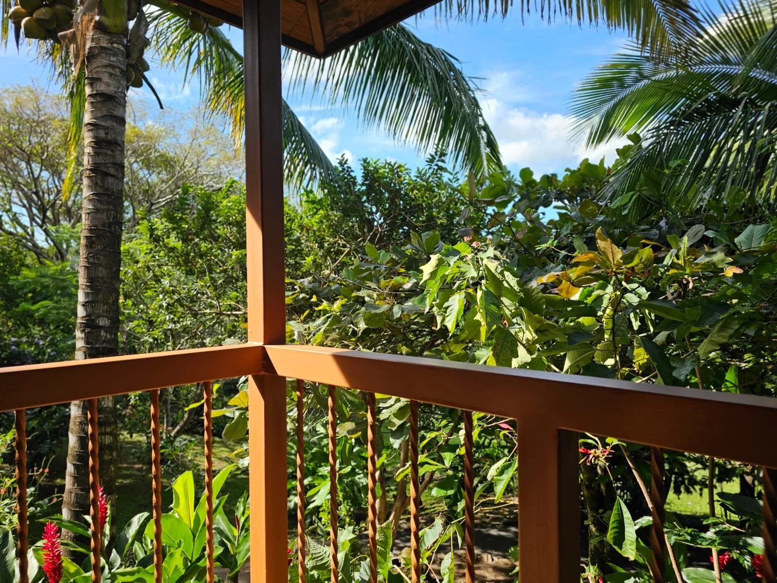 WhatsApp Image 2025-10-16 at 18.54.14 (2).jpeg